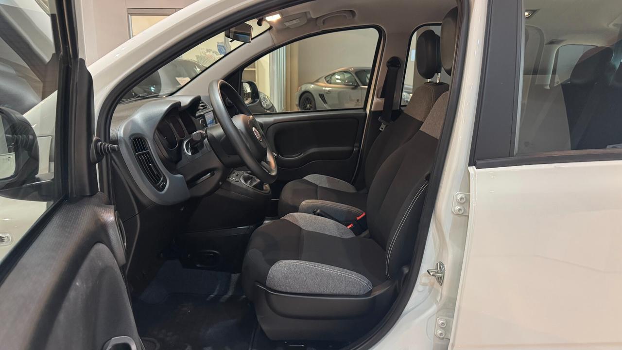 FIAT PANDA 1.0 70CV - 2022