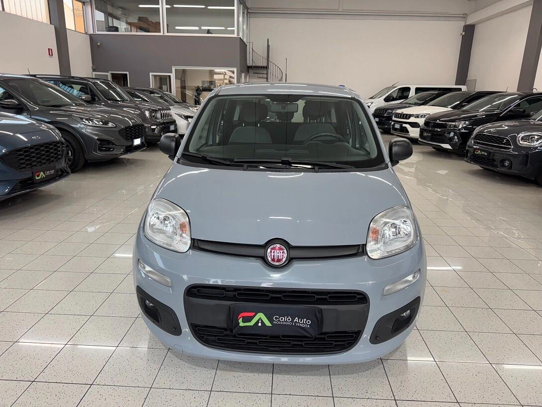Panda 1.0Hybrid PERFETTA PRONTA CONSEGNA
