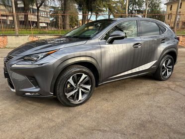 Lexus NX 300h NX Hybrid 4WD Luxury