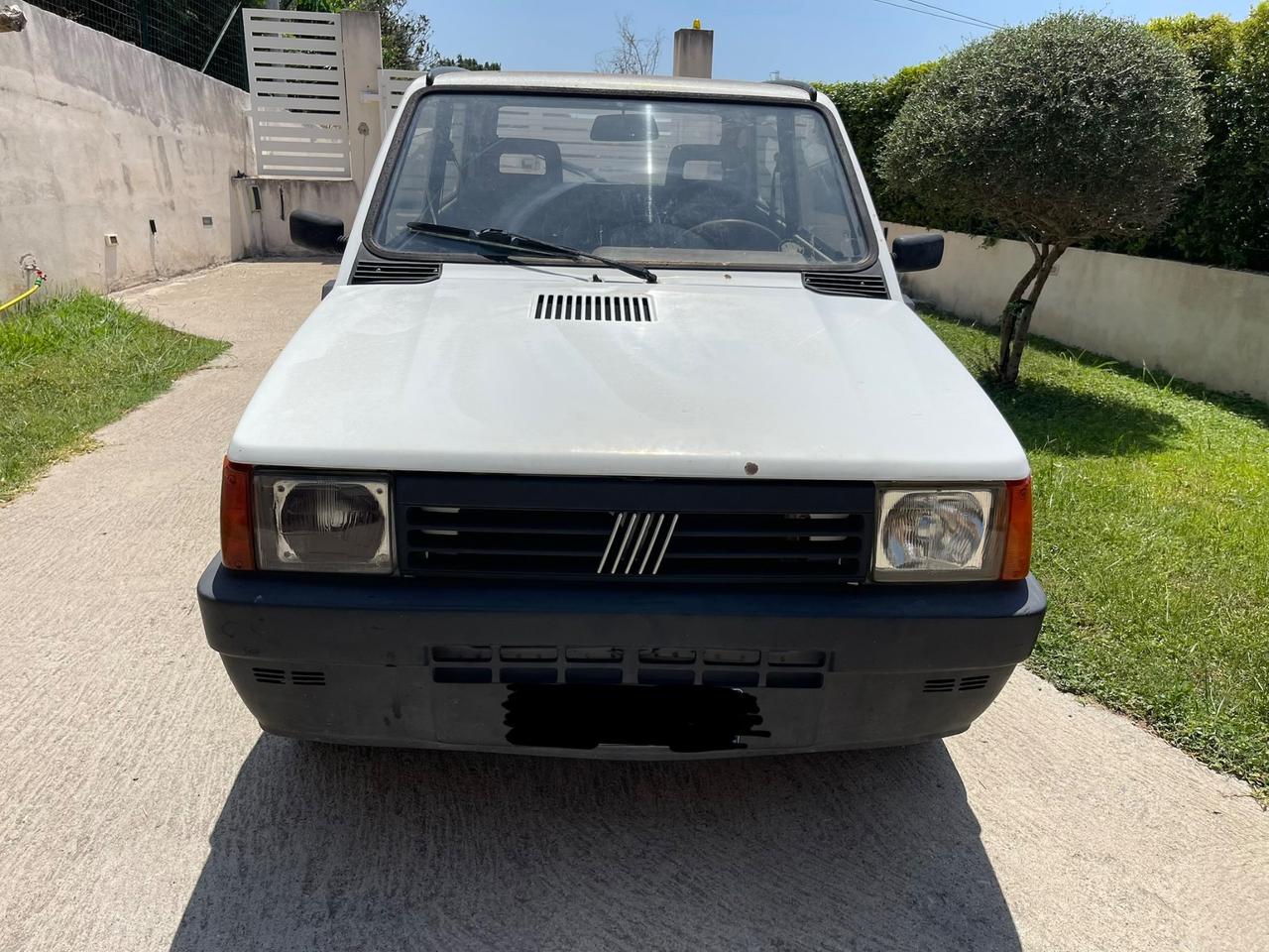 Fiat Panda 900 i.e. cat Young