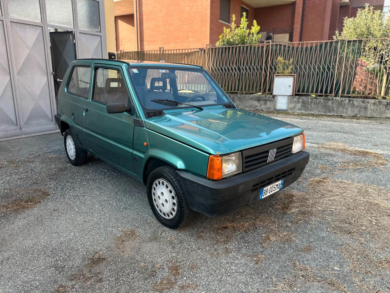 Fiat Panda 900 i.e. cat Young