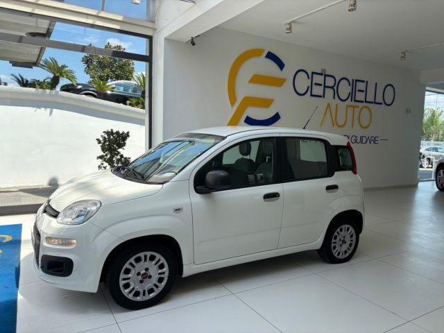 FIAT Panda 1.0 FireFly S&S Hybrid da ?119,00 mensili
