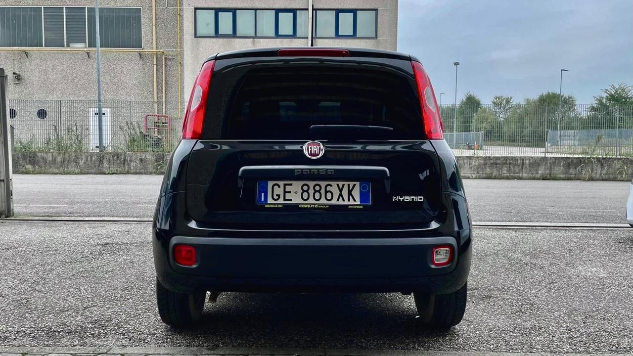 Fiat Panda 1.0 FireFly S&S Hybrid Easy NEOPATENTATO