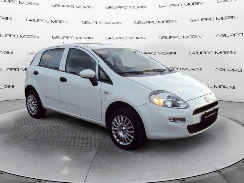 FIAT Punto Punto 1.4 8V 5 porte Natural Power Lounge