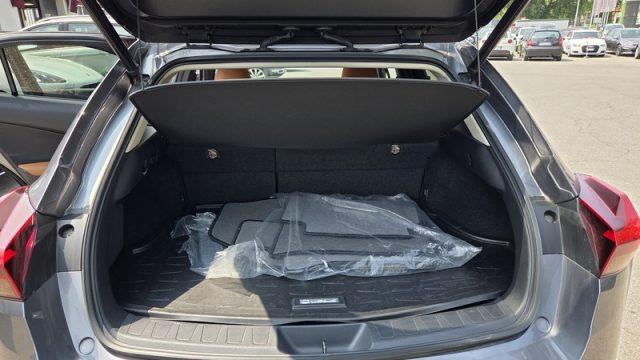 LEXUS UX 250h Hybrid Luxury PERMUTE UNICOPROPR. OK NEOPAT.