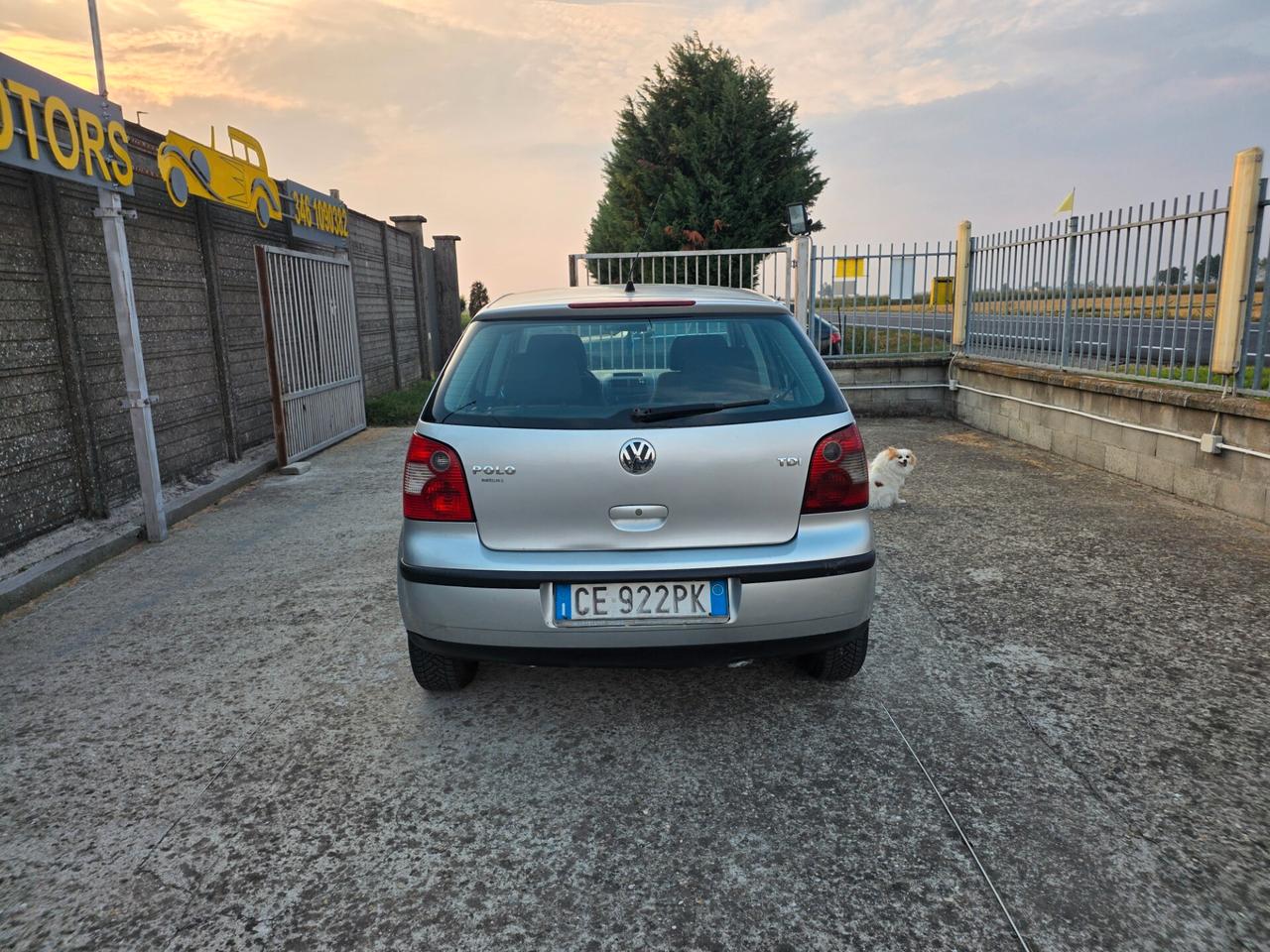 Volkswagen Polo 1.4 TDI 5p. Trendline