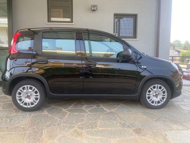 Fiat Panda 1.0 firefly hybrid s&s 70cv 5p.ti