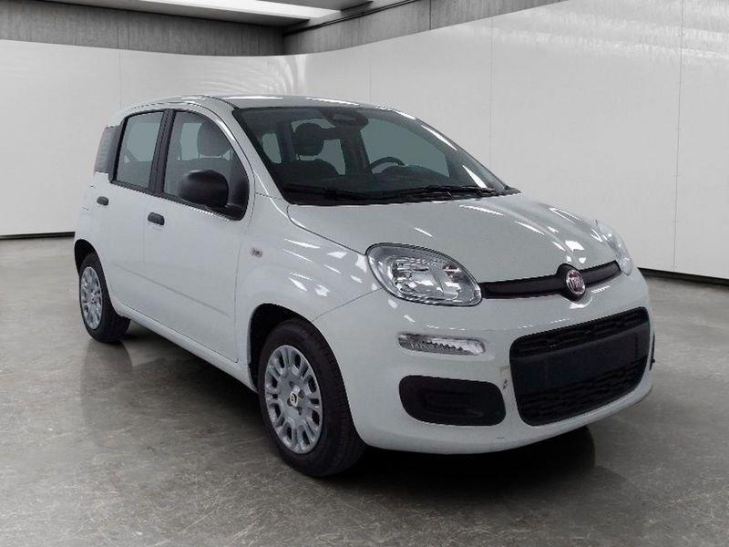 FIAT Pandina 1.0 firefly hybrid Icon s&s 70cv