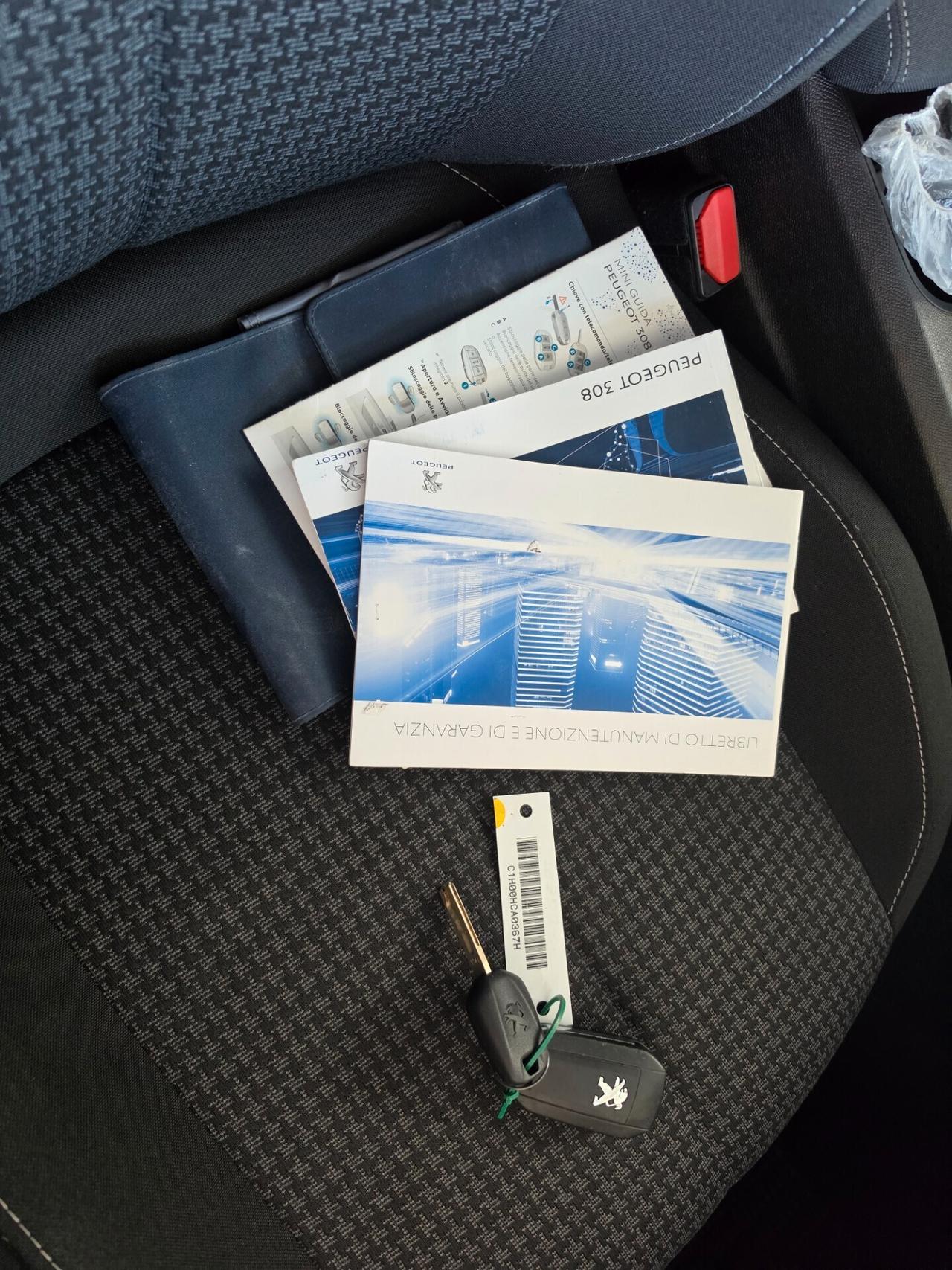 Peugeot 308 BlueHDi 100 S&S FULL