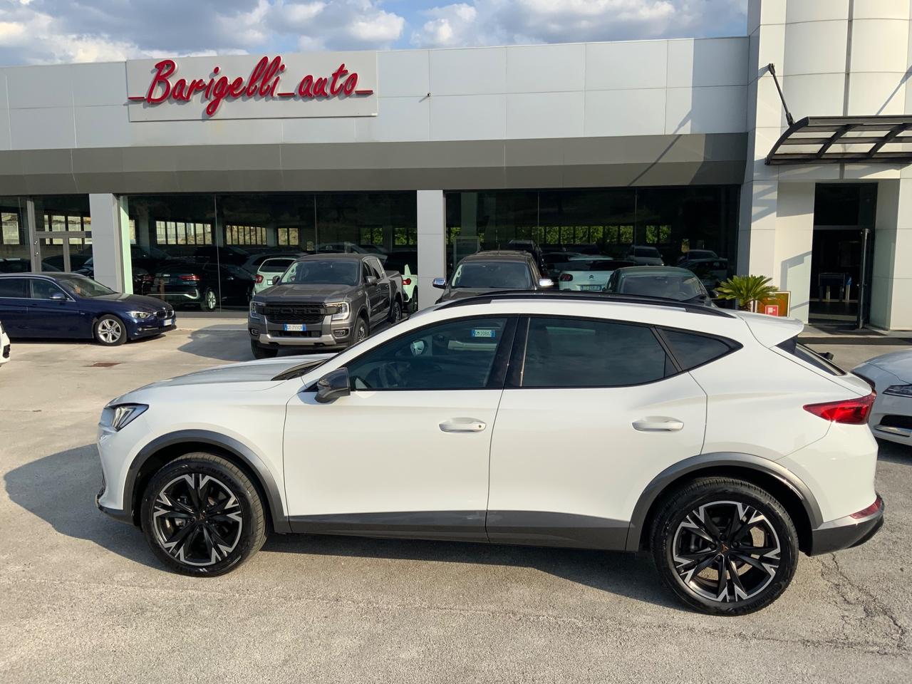 Cupra Formentor 2.0 TDI 4Drive DSG