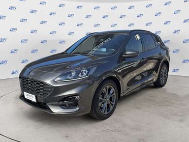 Ford Kuga 2.0 ecoblue ST-Line 2wd 120cv auto