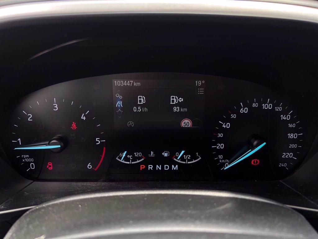 FORD Focus SW 1.5 ecoblue Business Co-pilot s&s 120cv auto del 2019