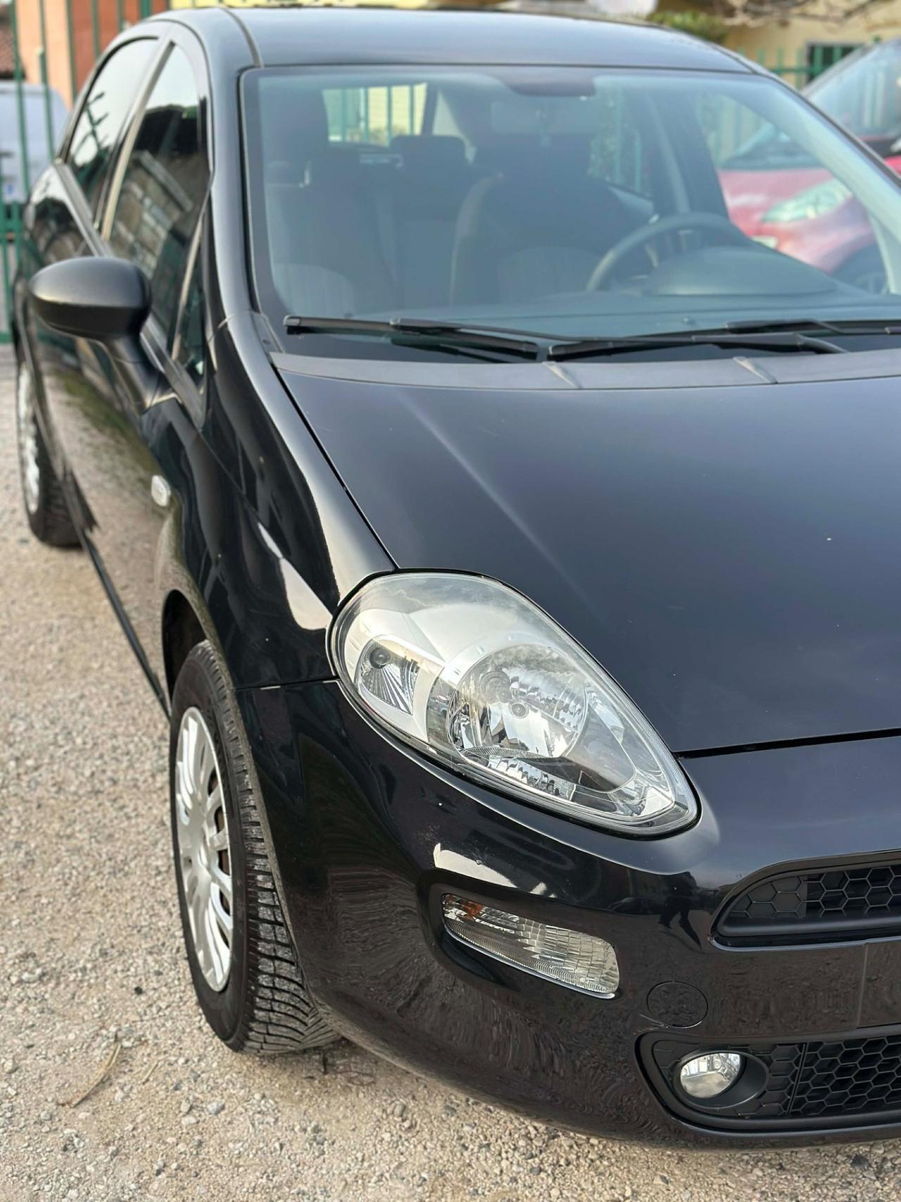 Fiat PUNTO 1.2 8V 5P LOUNGE KMCERT NEOPAT GARANZ