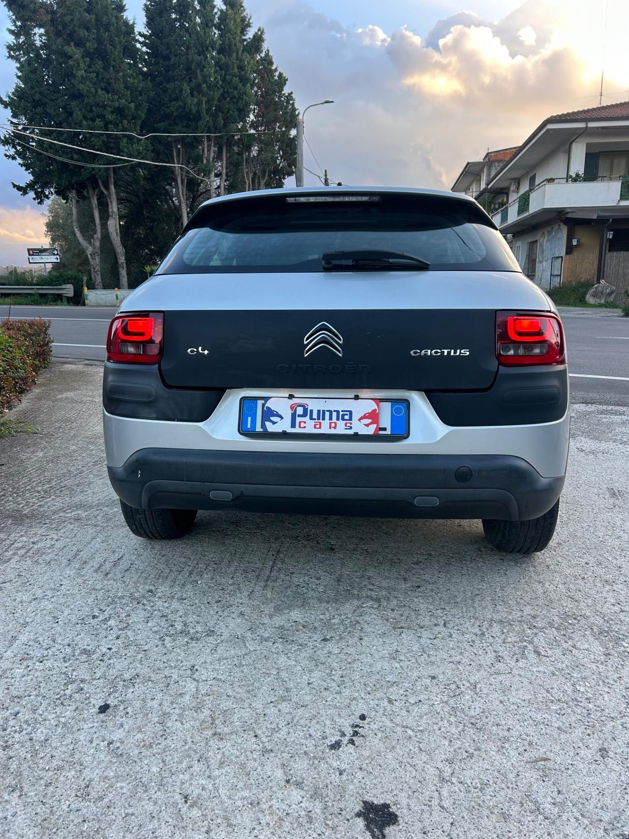 Citroen C4 Cactus BlueHDi 100 Shine