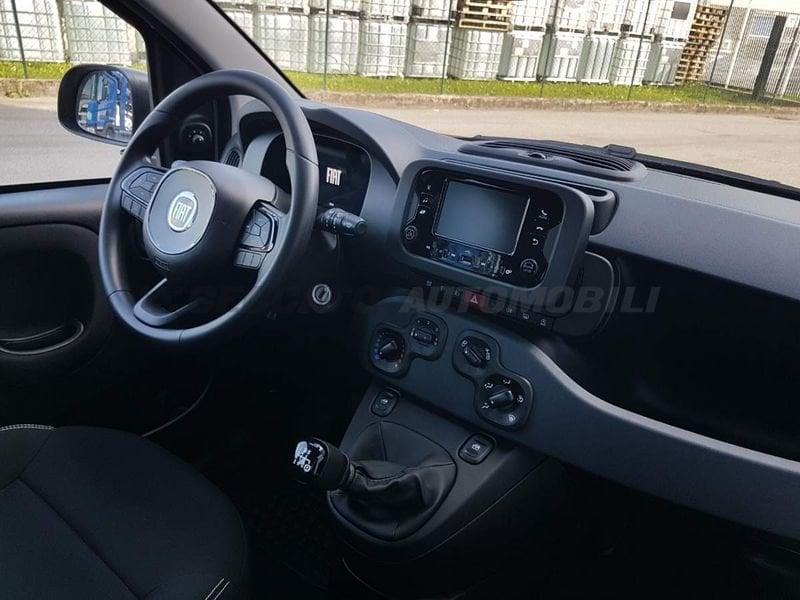 FIAT Panda Panda 1.0 70cv Hybrid Icon