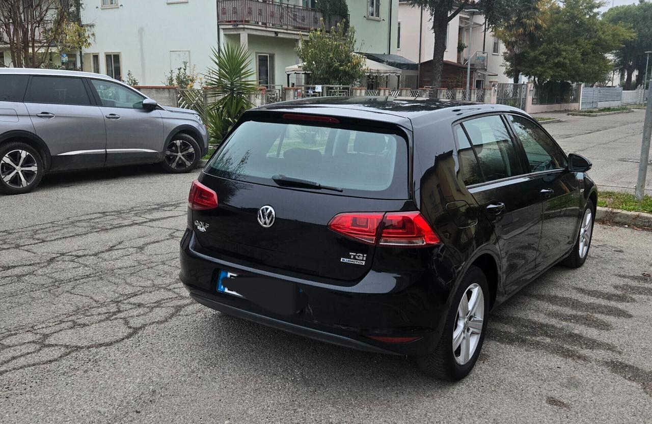 Volkswagen Golf Business 1.4 TGI 5p. Highline BlueMotion