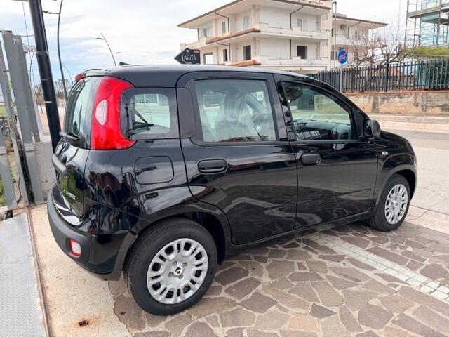 Fiat Panda 1.0 FireFly S&S Hybrid Pandina