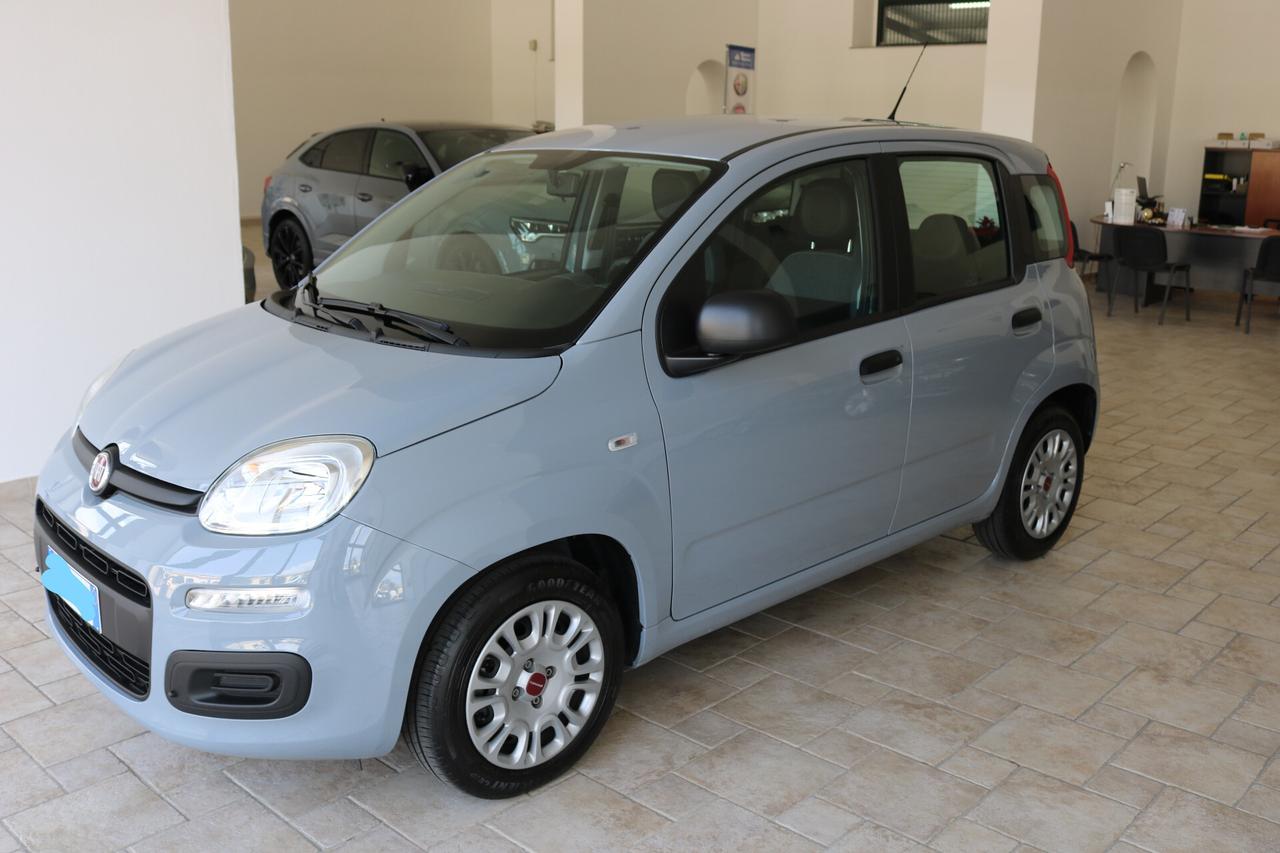 Fiat Panda 1.2 Easy