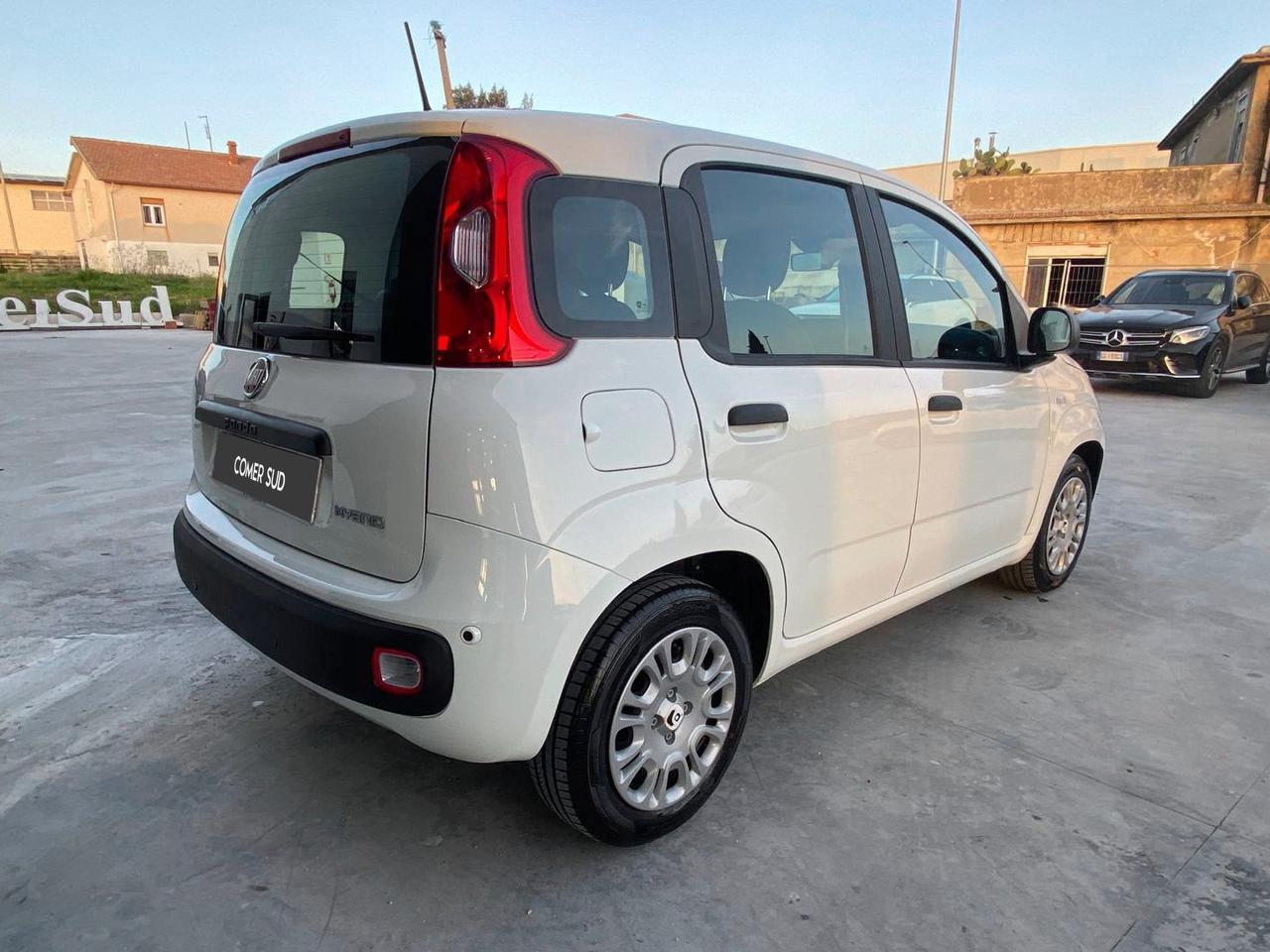 FIAT Panda III - Pandina 1.0 firefly hybrid s&s 70cv 5p.ti