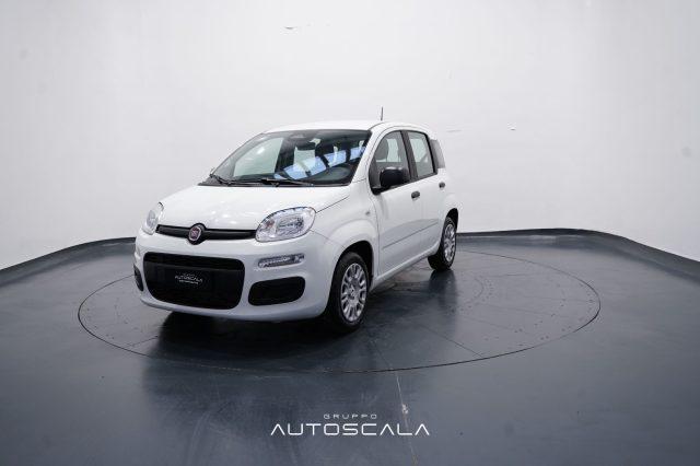FIAT New Panda My25 1.0 FireFly S&S Hybrid
