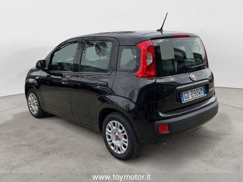 FIAT Panda 3ª serie 1.0 FireFly S&S Hybrid