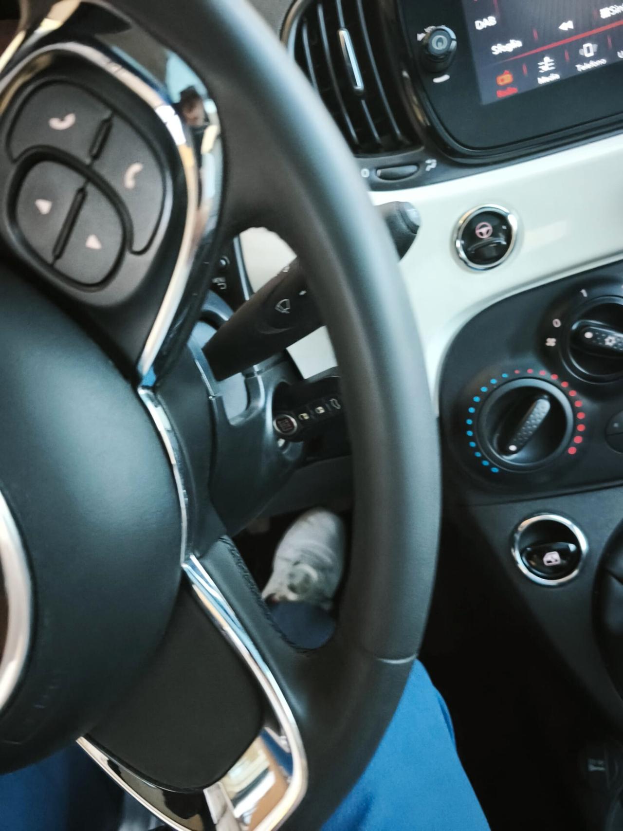 Fiat 500 C 1.0 Hybrid Yachting