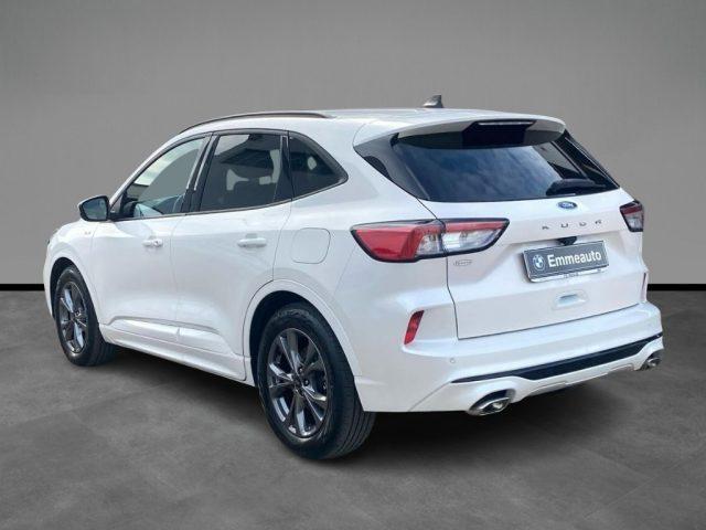 FORD Kuga 1.5 EcoBlue 120 CV 2WD ST-Line