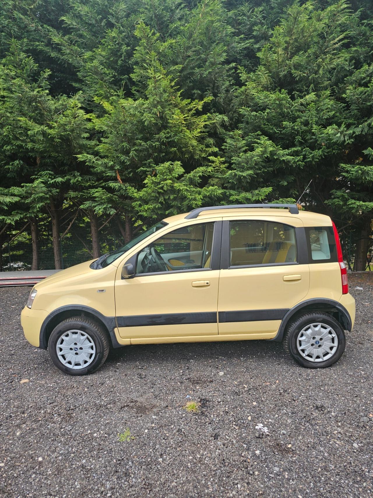 Fiat Panda 4X4 1.2 Benzina