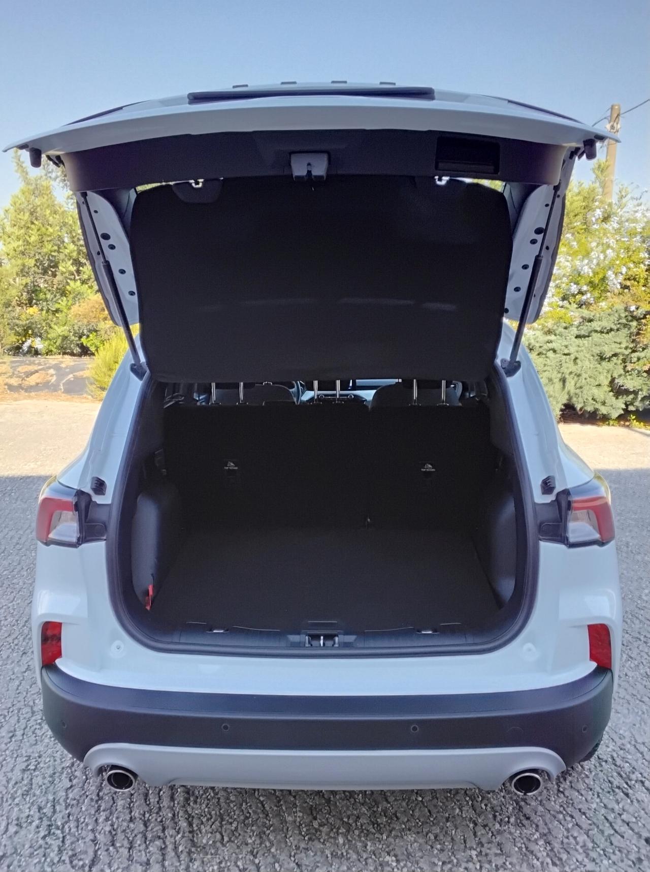 Ford Kuga 1.5 EcoBlue 120 CV aut. 2WD Titanium Business