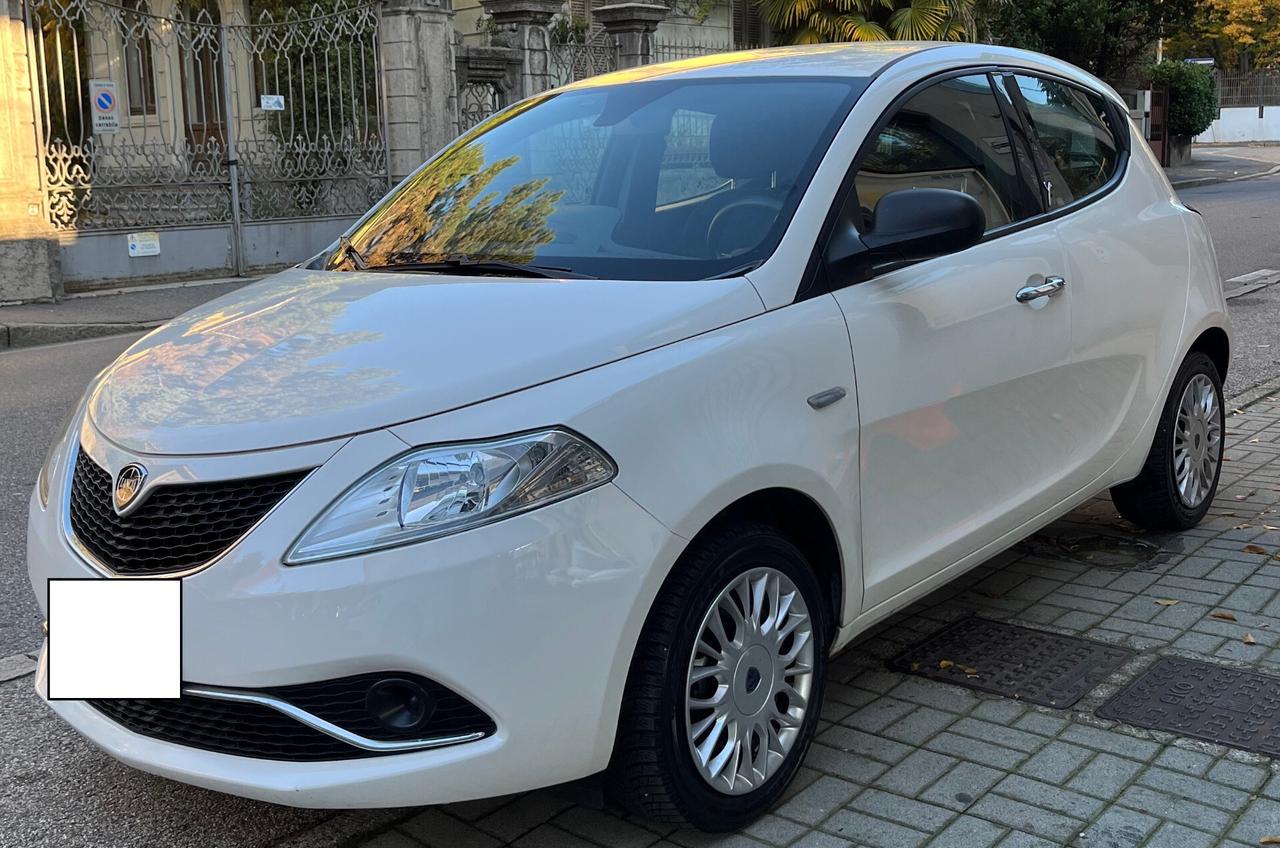 LANCIA YPSILON 1.2 BENZINA 5 PORTE - ANCHE PER NEOPATENTATI - 2017 - DISTRIBUZIONE APPENA SOSTITUITA