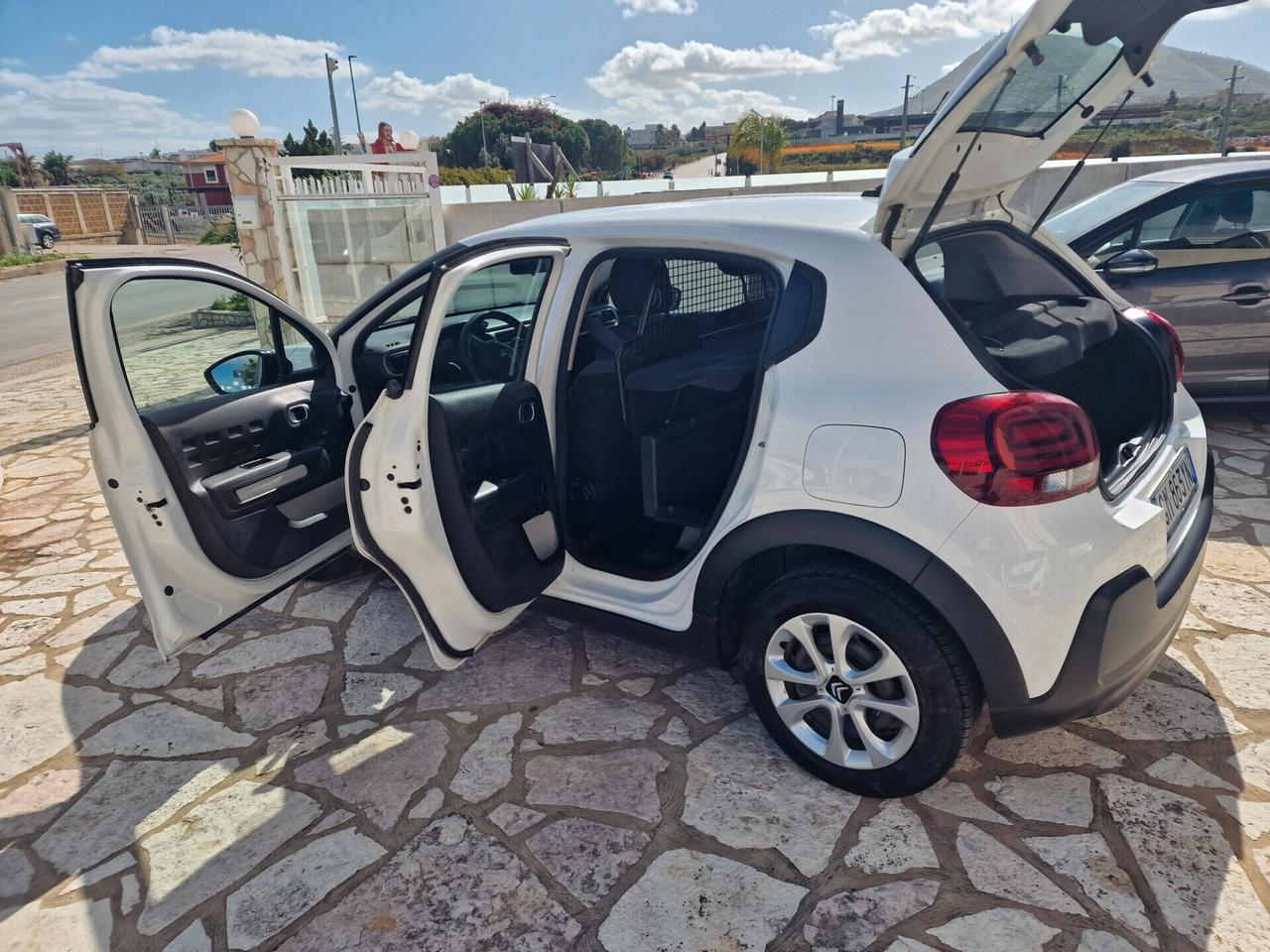 Citroen C3 BlueHDi 100CV Van Feel 2023