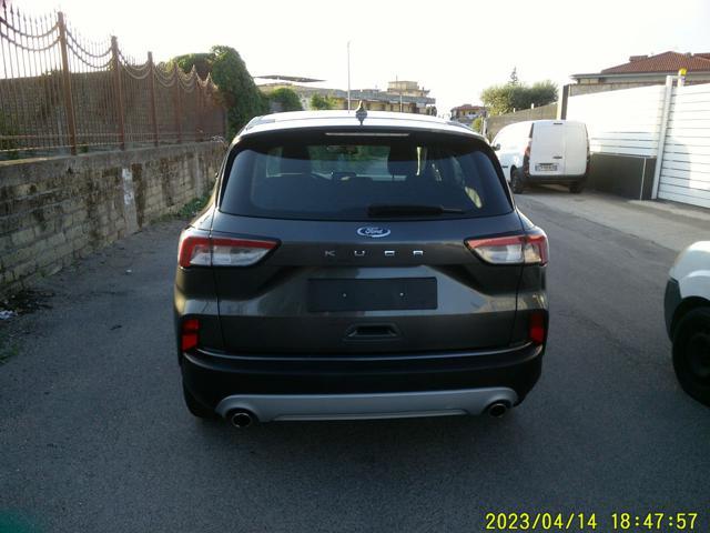 FORD Kuga 1.5 EcoBlue 120 CV aut. 2WD Titanium Business