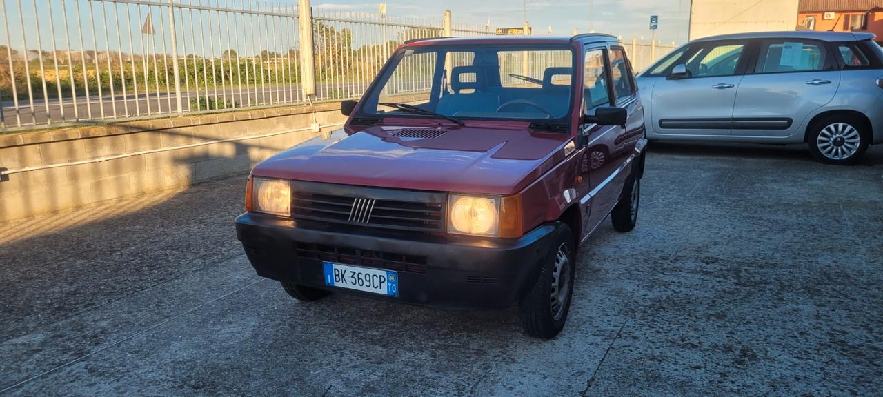 Fiat Panda 900 i.e. cat Young
