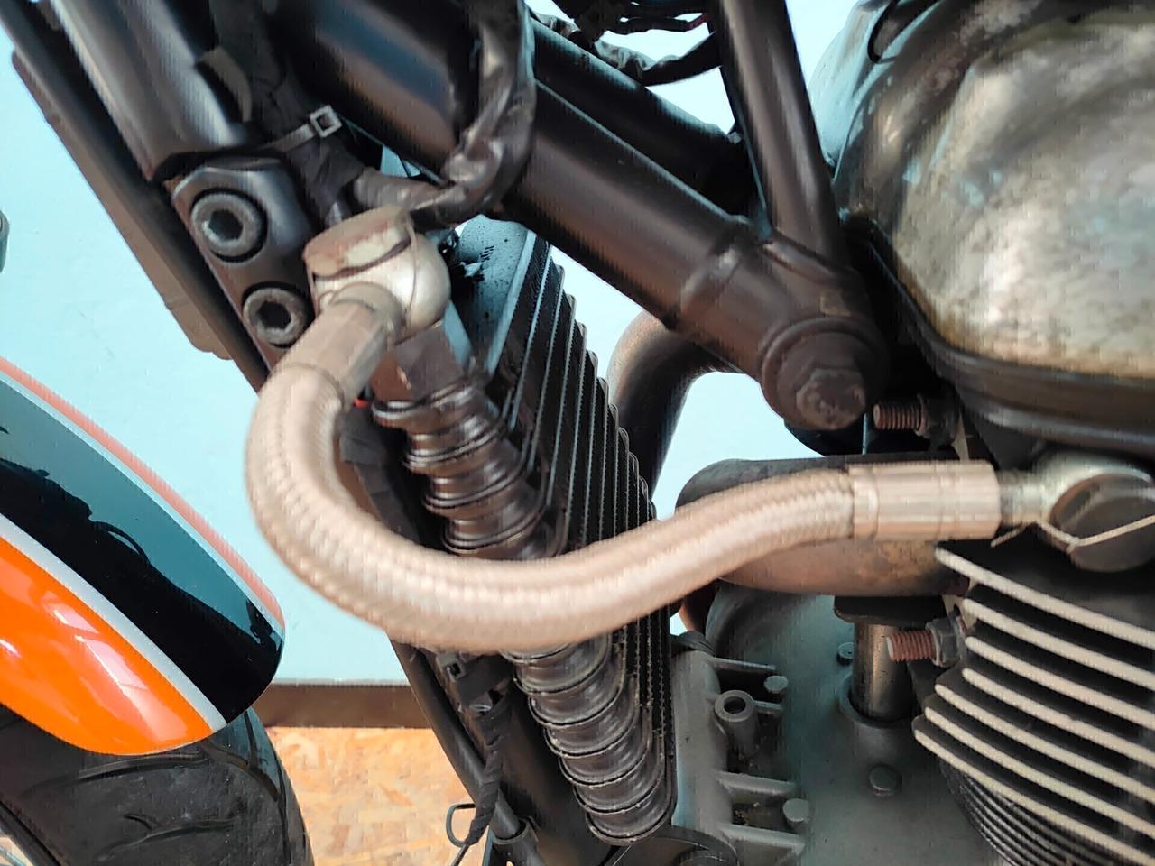 Triumph Thruxton CUP - Regina delle Cafe Racer