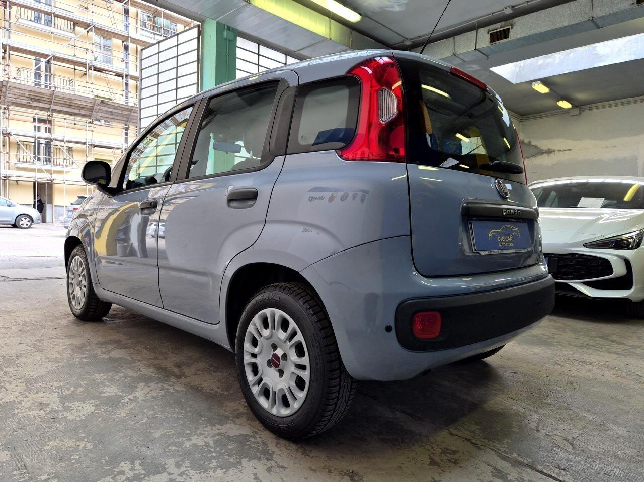 Fiat Panda 1.2 Easy 69cv Unicoproprietario