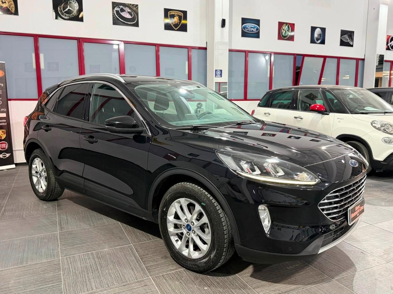 Kuga 2.0 EcoBlue 150 CV aut. 2WD Titanium Business 2022