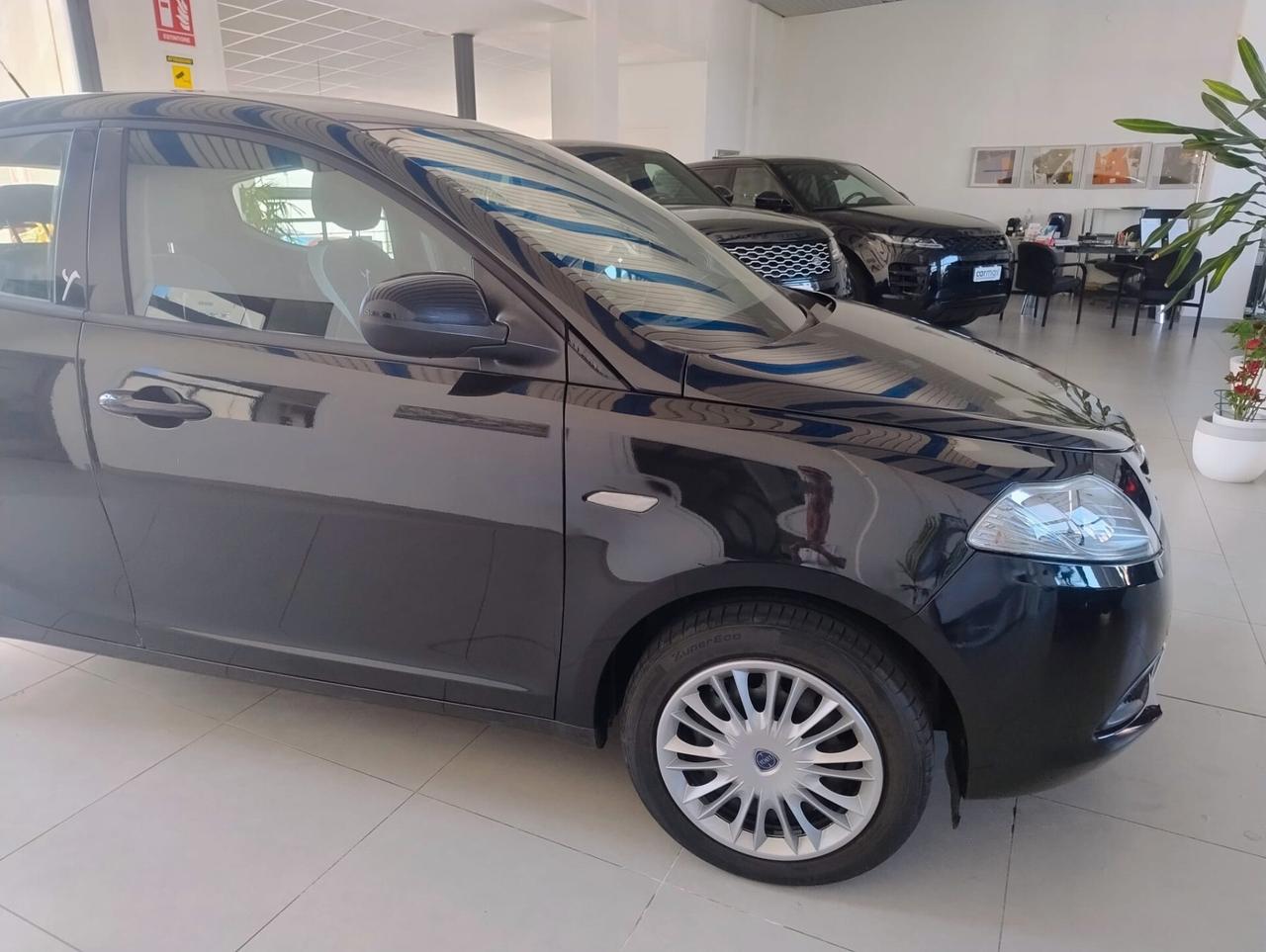 Lancia Ypsilon 1.2 69 CV 5 porte Elefantino