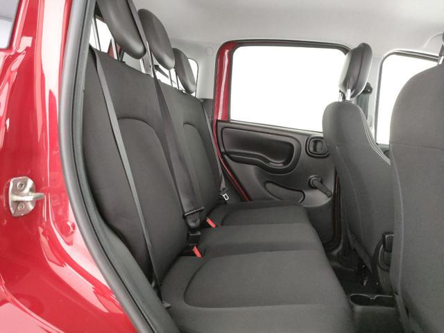 FIAT Panda Cross 1.0 FireFly S&S Hybrid Clima Automatico