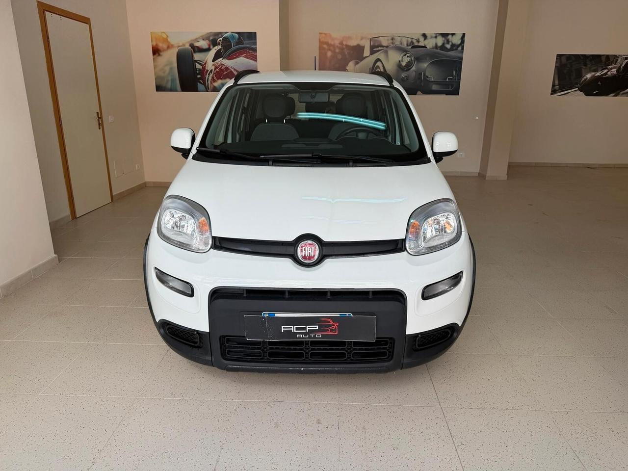 Fiat Panda Cross 1.0 FireFly S&S Hybrid