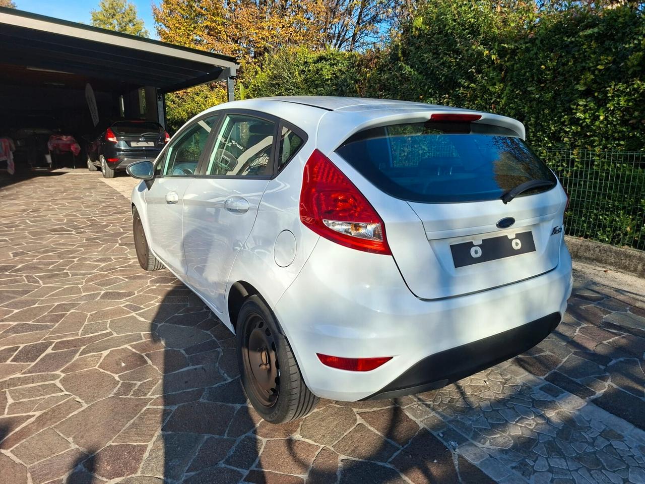 Ford Fiesta 2010