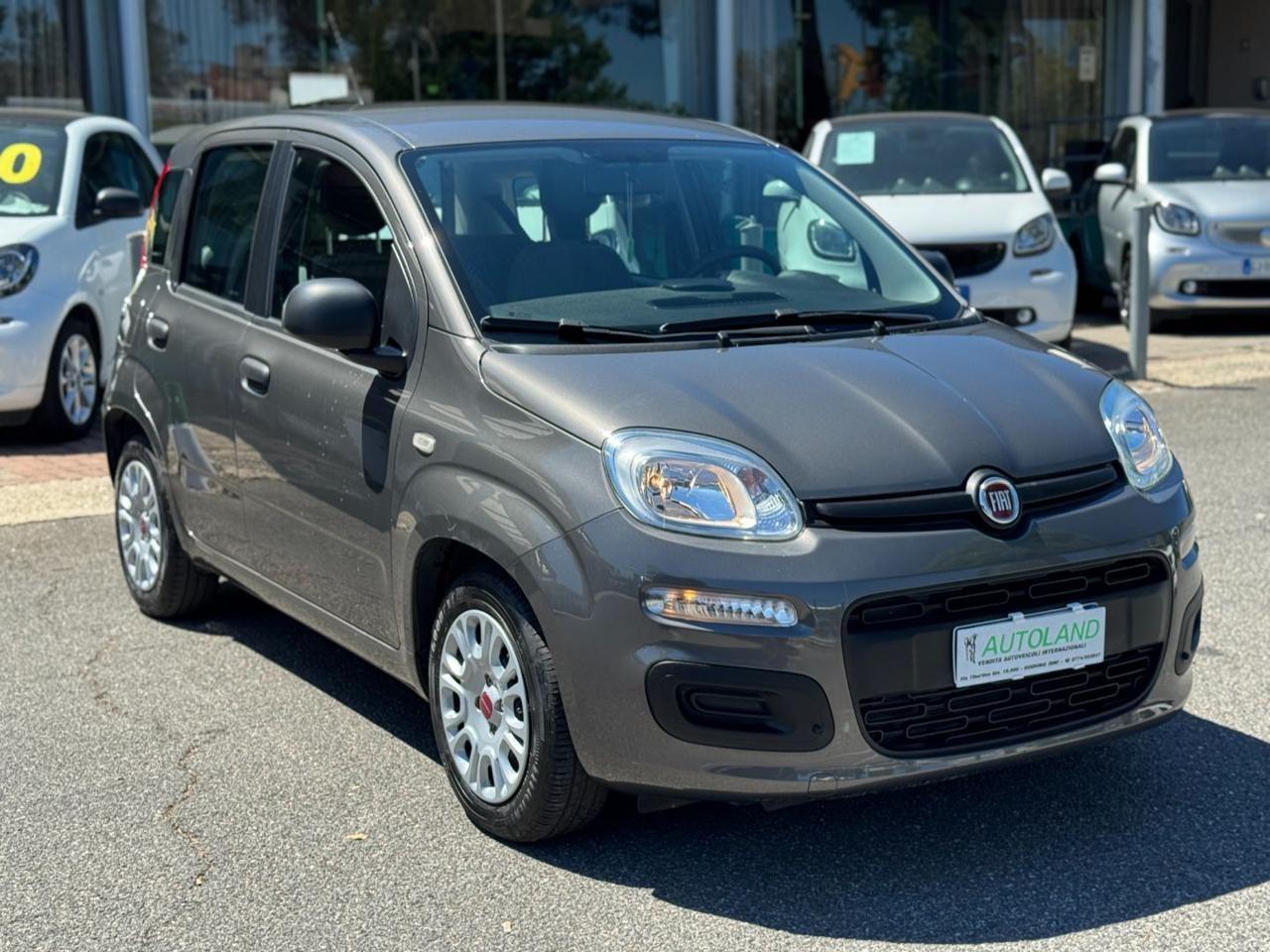 FIAT Panda 1.0 FireFly S&S Hybrid Sensori Parcheggio