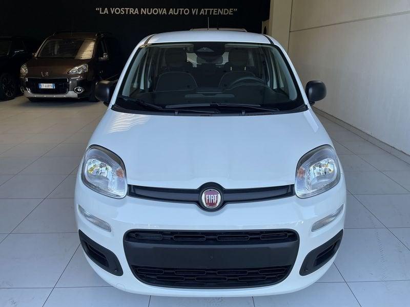 FIAT Panda Panda 1.0 FireFly S&S Hybrid Icon