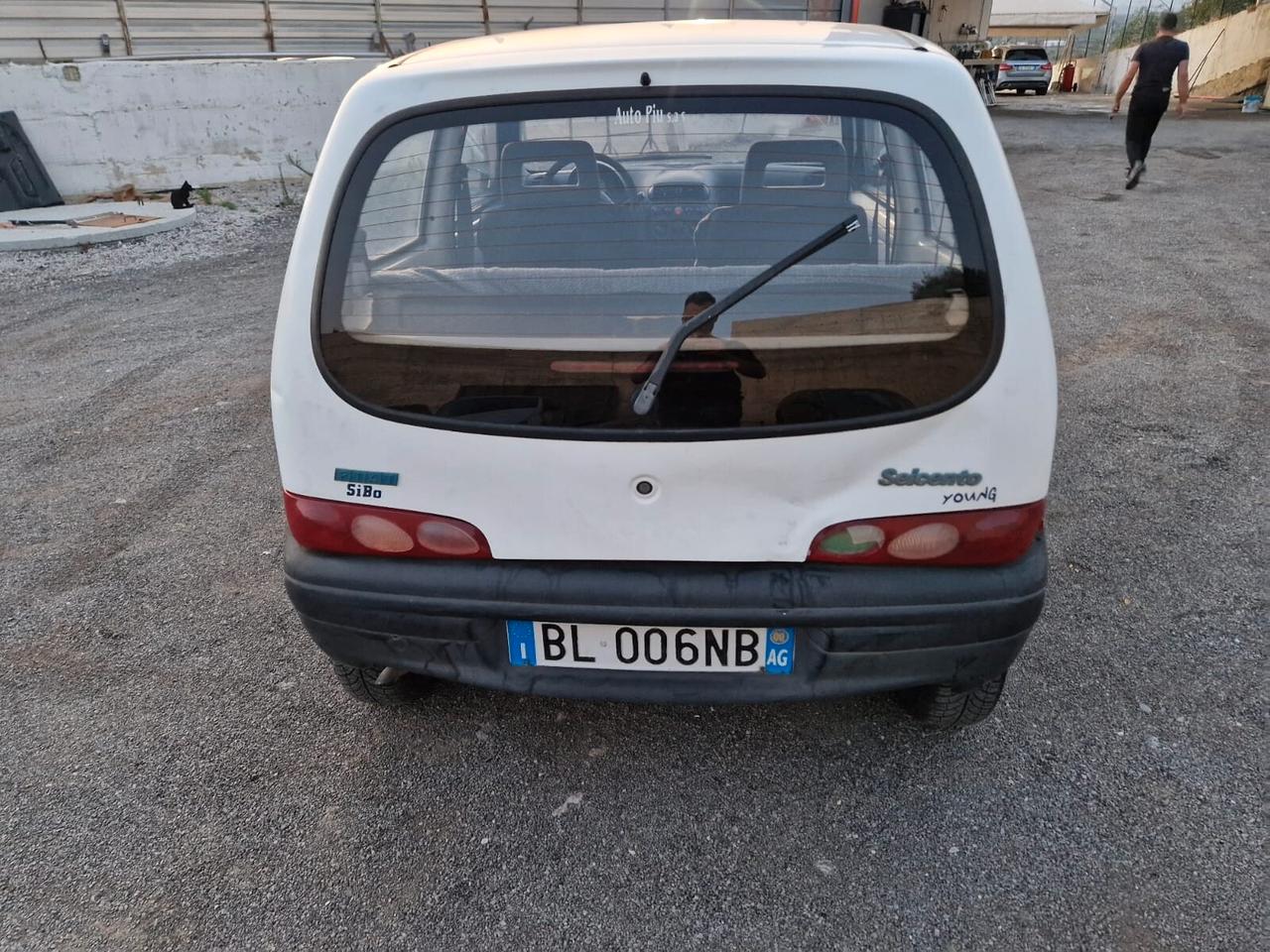 Fiat Seicento 900i cat Young