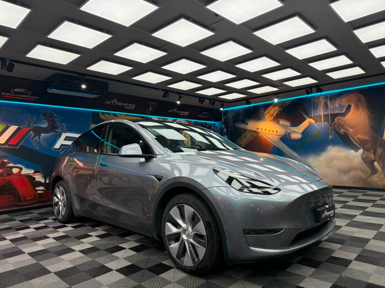 Tesla Model Y Long Range ADW (337)