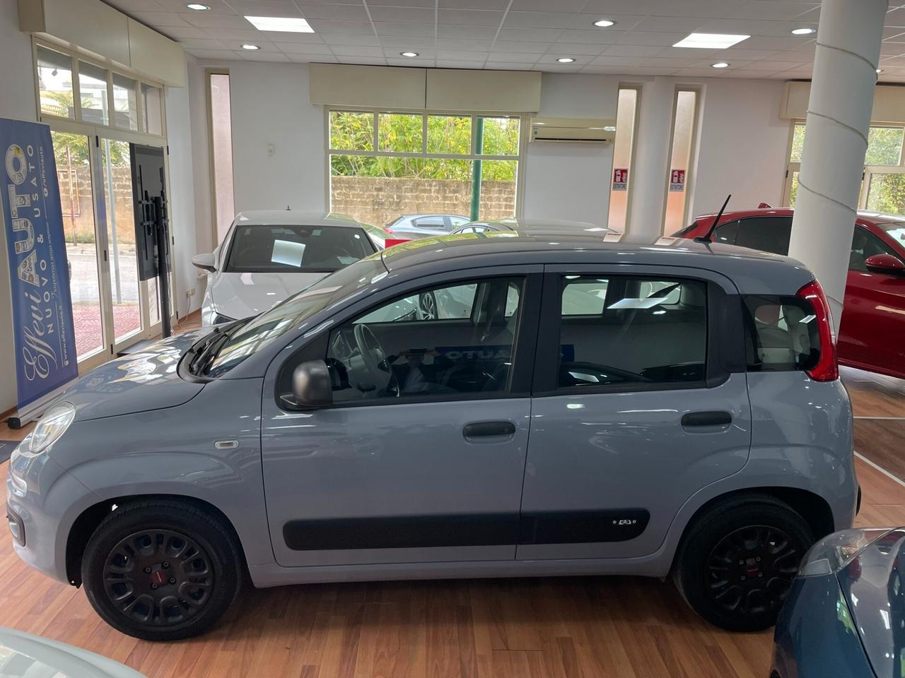 FIAT PANDA 1.2 69CV EASY - Dicembre 2020