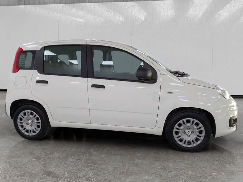 FIAT Pandina 1.0 firefly hybrid Icon s&s 70cv 5p.ti