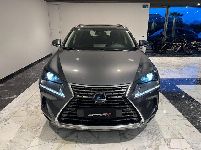 LEXUS NX 300 HYBRID 4WD BUSINESS 155CV