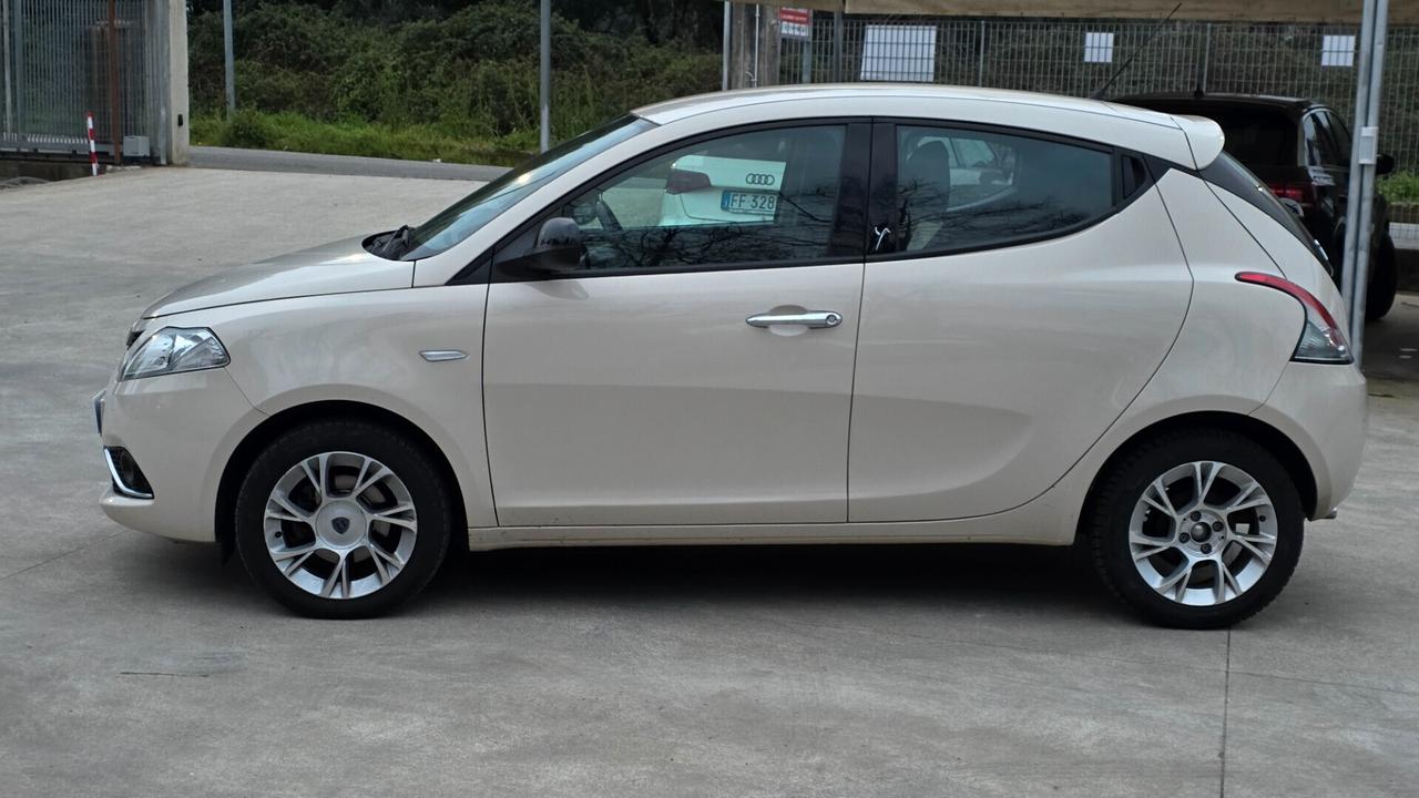 Lancia Ypsilon 1.3 MJT 16V 95 CV 5 porte S&S Platinum