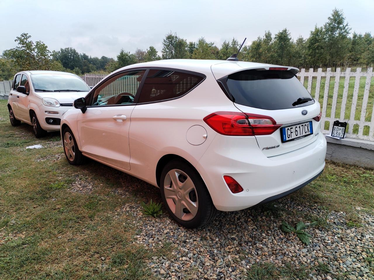 Ford Fiesta 1.0 MHEV 125 CV 3 porte Van Trend