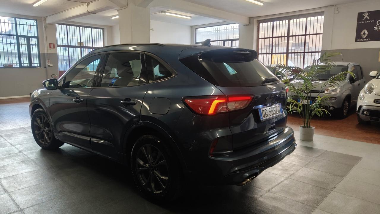 Ford Kuga 1.5 EcoBlue 120 CV aut. 2WD ST-Line X